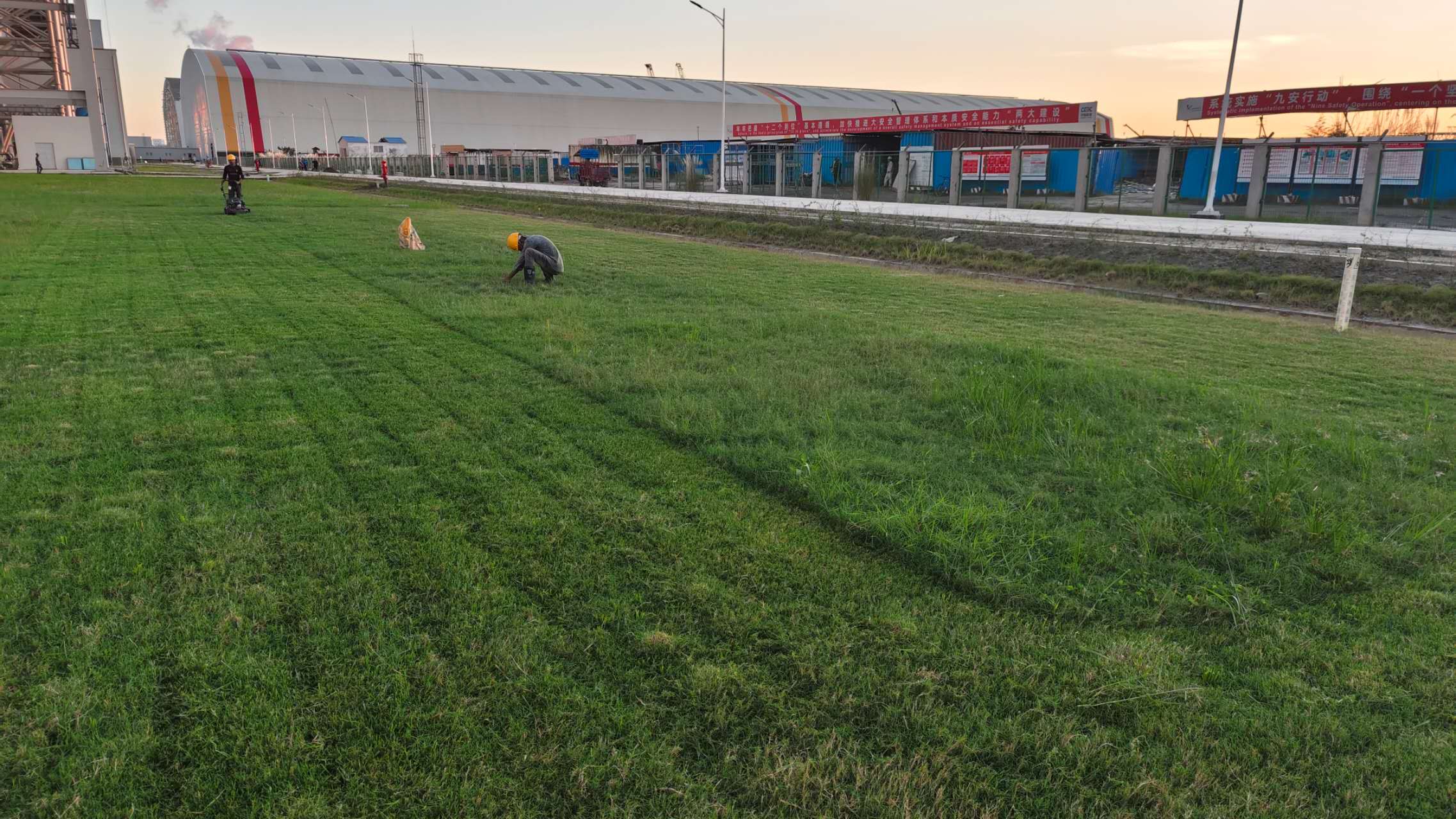 industrial landscaping services