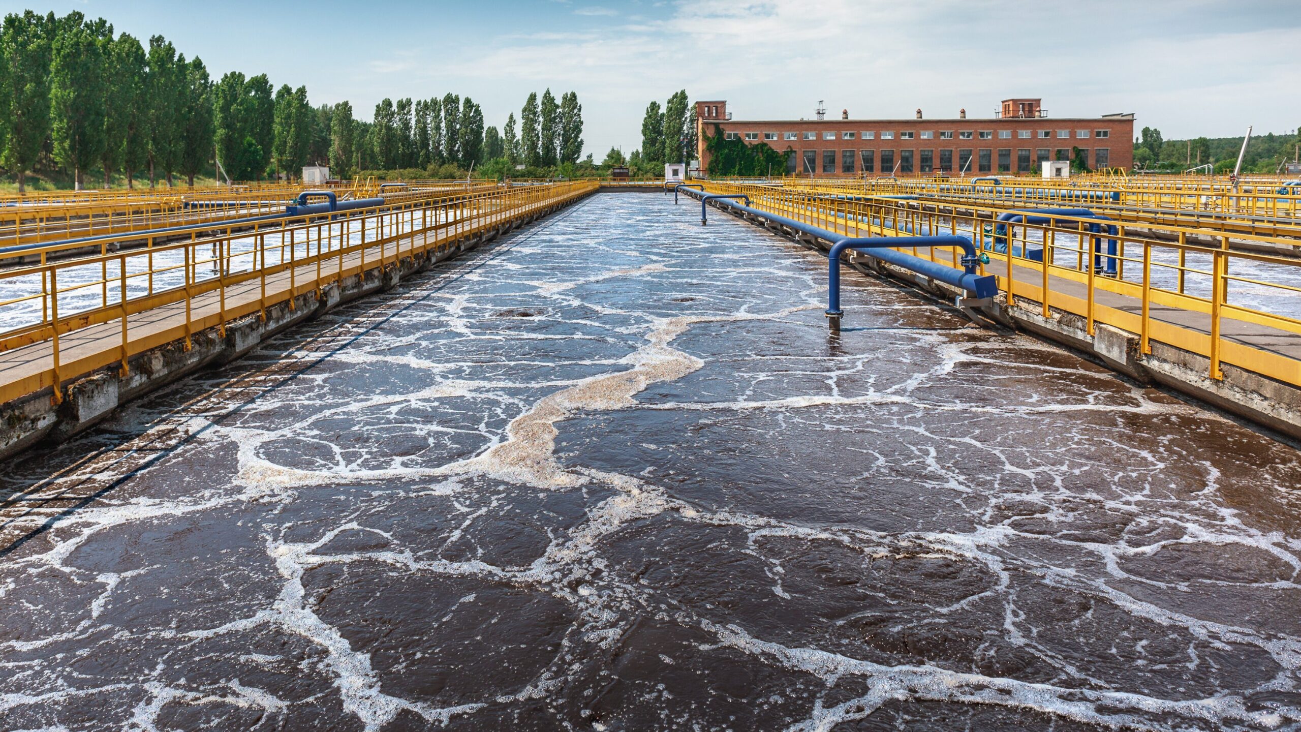 ETP Sludge Processing